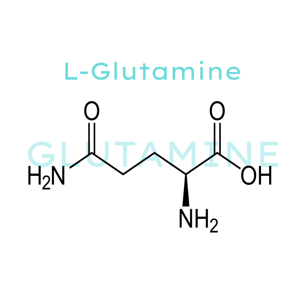 L-Glutamine the gut barrier defender