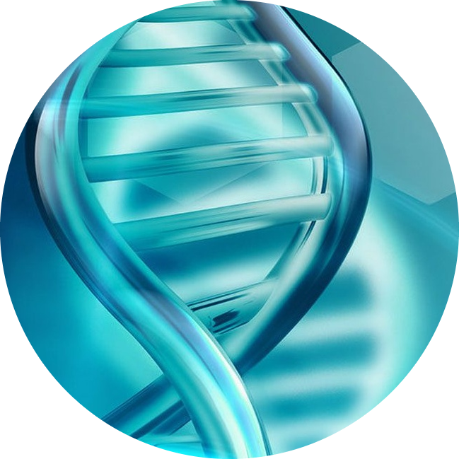 mast cell activation syndrom