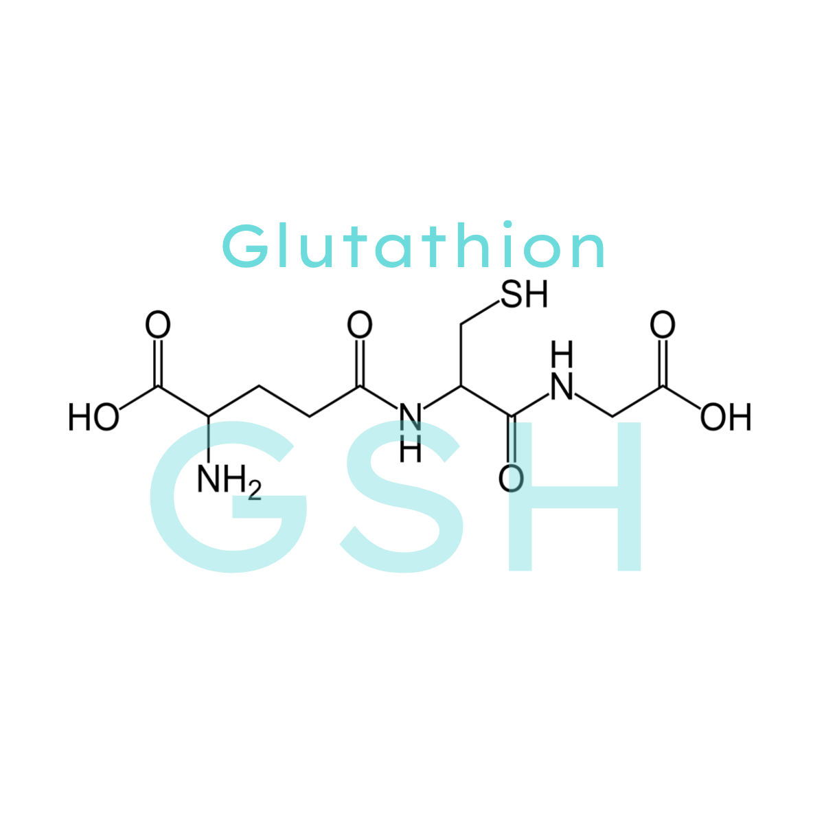 Liposomal gluthation the master antioxidant