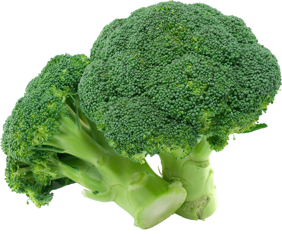 sibo food broccoli
