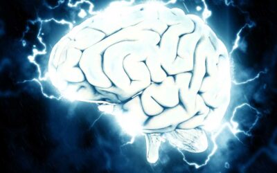 Brain plasticity exercises