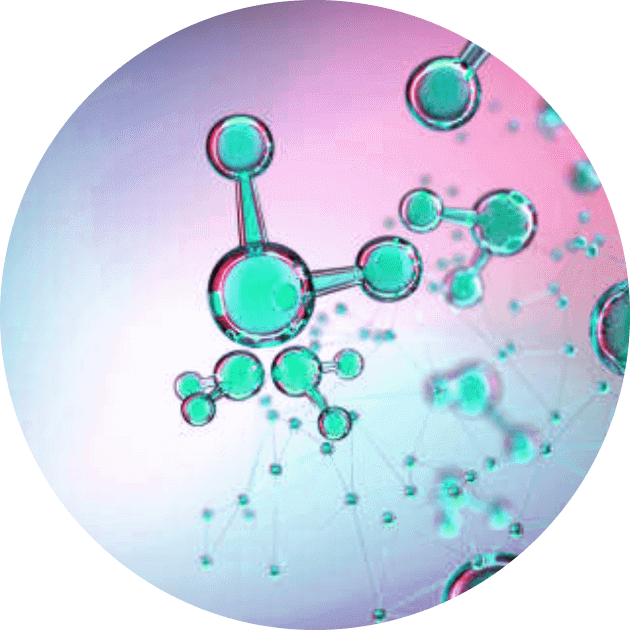 mitochondrial dysfunction and nutrition