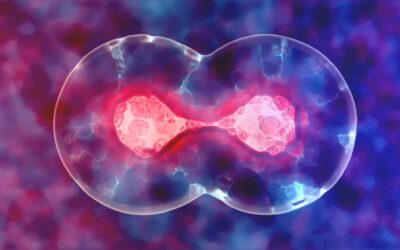 Mitochondrial Health: How to Support Your Cellular Powerhouses