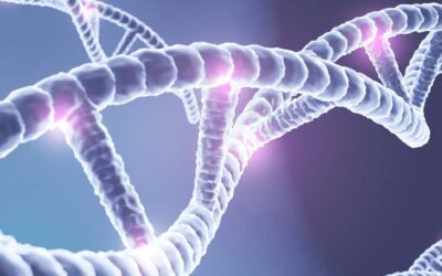 Methylation and Autism: How Do Gene Mutations Influence Neurodevelopment?