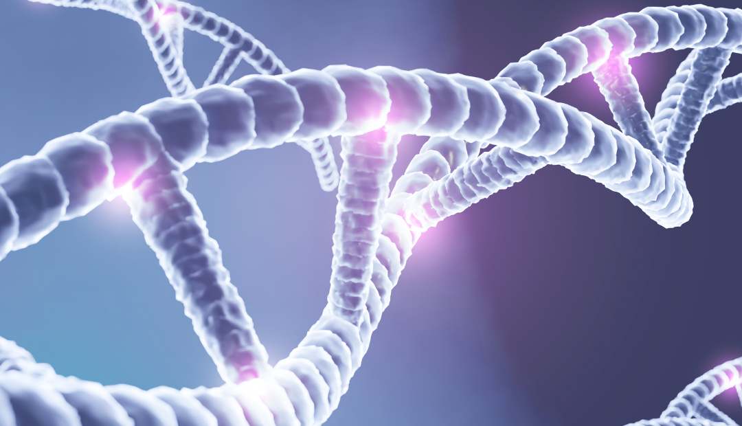 Methylation and Autism: How Do Gene Mutations Influence Neurodevelopment?